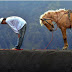 TATA CARA SHALAT, RUKUN-RUKUN SHALAT, SYARAT-SYARAT SHALAT, BESERTA BACAAN DALAM SHALAT