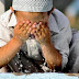 PENJELASAN LENGKAP MENGENAI SYARAT-SYARAT WUDHU, RUKUN-RUKUN WUDHU, DAN SUNNAH-SUNNAH WUDHU
